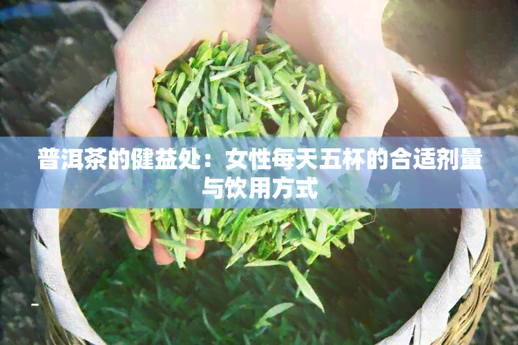 普洱茶的健益处：女性每天五杯的合适剂量与饮用方式