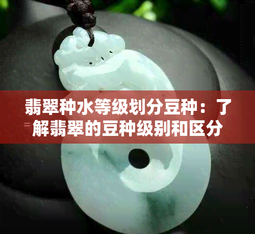 翡翠种水等级划分豆种：了解翡翠的豆种级别和区分方法