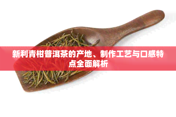 新利青柑普洱茶的产地、制作工艺与口感特点全面解析