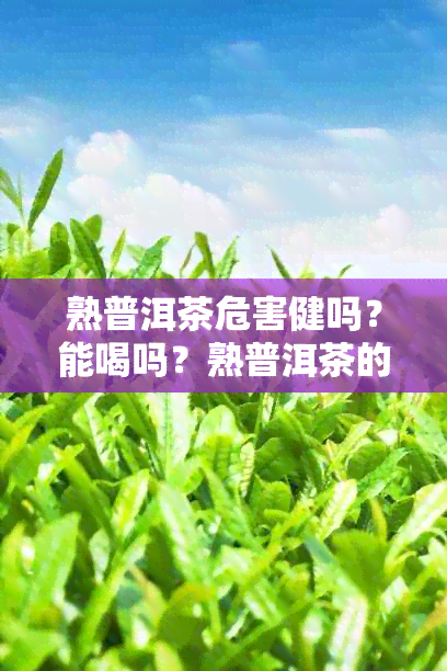 熟普洱茶危害健吗？能喝吗？熟普洱茶的危害是什么？