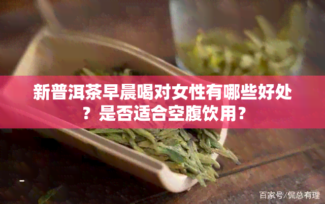 新普洱茶早晨喝对女性有哪些好处？是否适合空腹饮用？