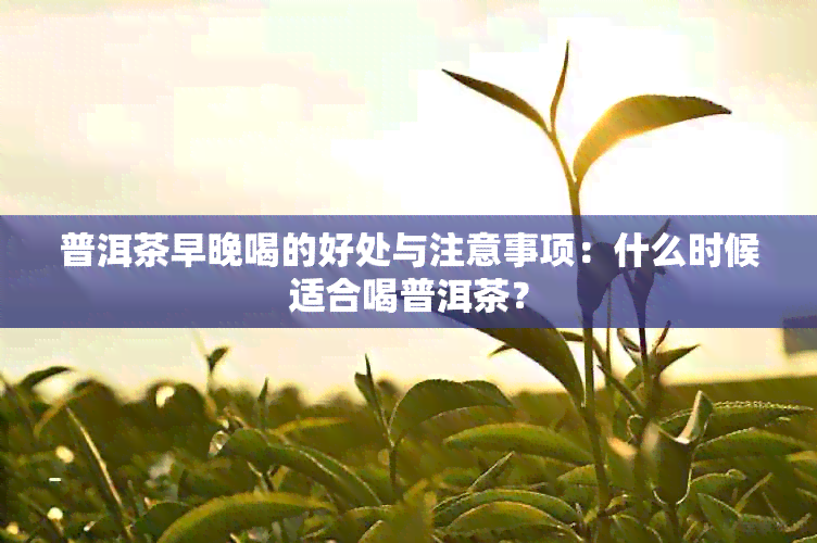 普洱茶早晚喝的好处与注意事项：什么时候适合喝普洱茶？