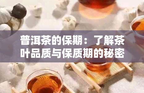 普洱茶的保期：了解茶叶品质与保质期的秘密