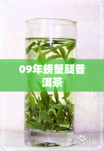 09年螃蟹腿普洱茶