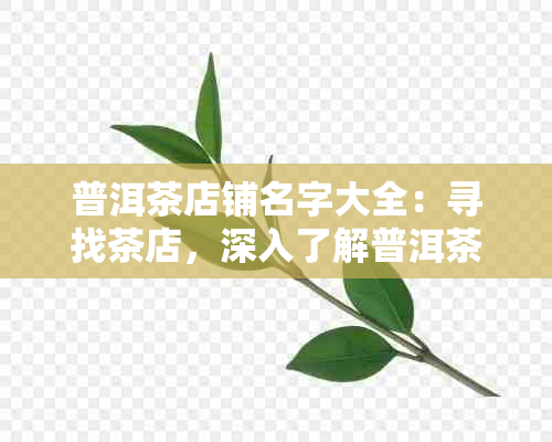 普洱茶店铺名字大全：寻找茶店，深入了解普洱茶文化与品质