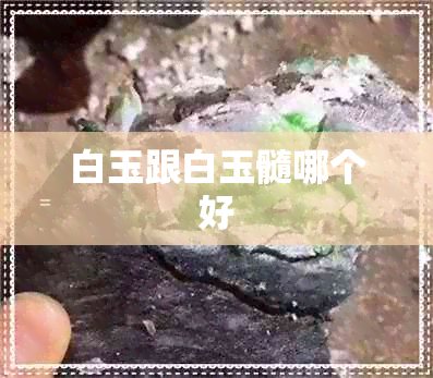 白玉跟白玉髓哪个好