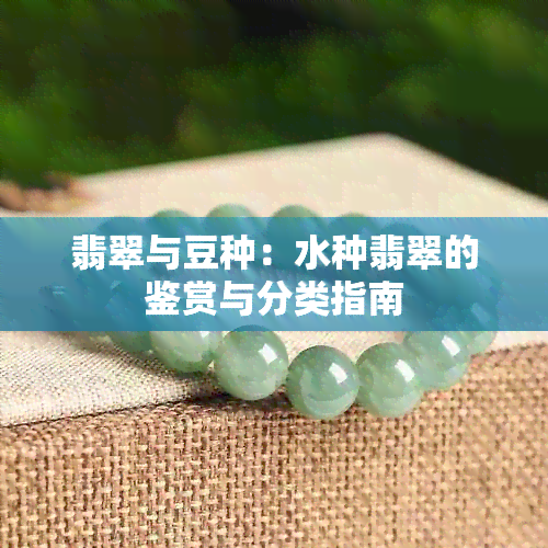 翡翠与豆种：水种翡翠的鉴赏与分类指南