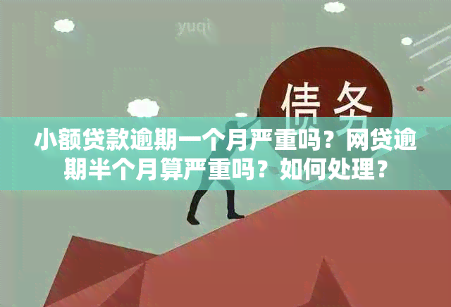 小额贷款逾期一个月严重吗？网贷逾期半个月算严重吗？如何处理？