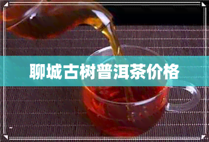 聊城古树普洱茶价格