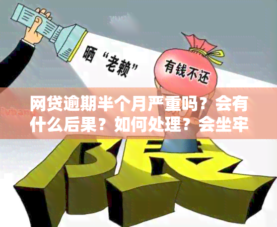 网贷逾期半个月严重吗？会有什么后果？如何处理？会坐牢吗？会被起诉吗？