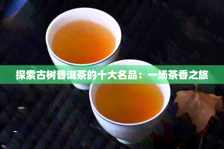 探索古树普洱茶的十大名品：一场茶香之旅