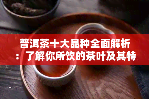 普洱茶十大品种全面解析：了解你所饮的茶叶及其特点，挑选适合自己的茶品