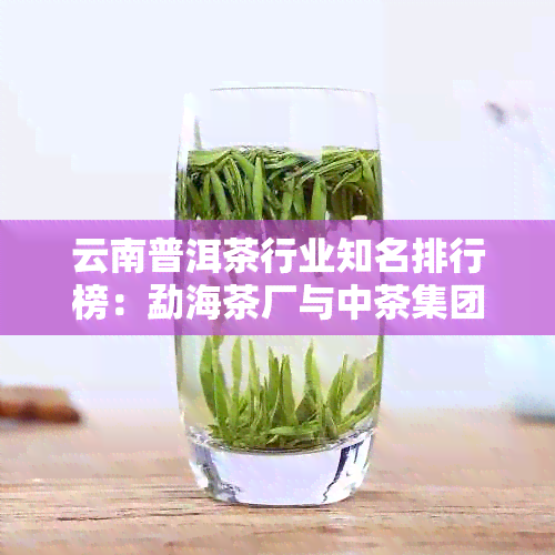 云南普洱茶行业知名排行榜：勐海茶厂与中茶集团等龙头企业位列前