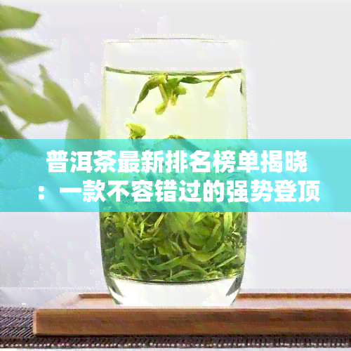 普洱茶最新排名榜单揭晓：一款不容错过的强势登顶！