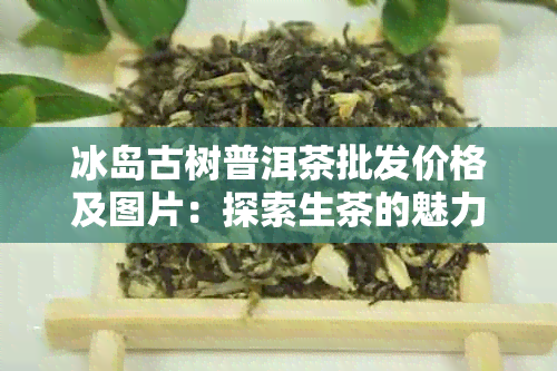 冰岛古树普洱茶批发价格及图片：探索生茶的魅力