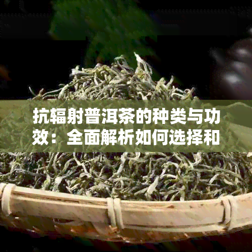 抗辐射普洱茶的种类与功效：全面解析如何选择和饮用以增强身体健