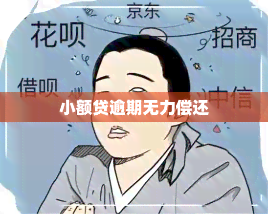 小额贷逾期无力偿还