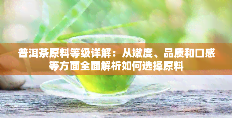 普洱茶原料等级详解：从嫩度、品质和口感等方面全面解析如何选择原料