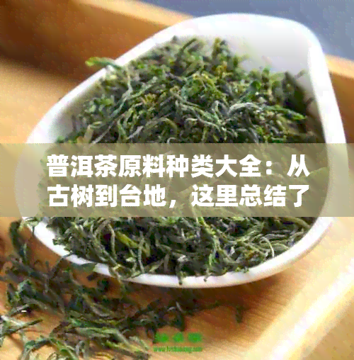 普洱茶原料种类大全：从古树到台地，这里总结了普洱茶的全部原料种类。