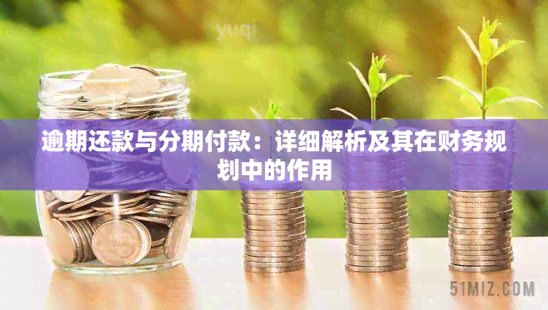 逾期还款与分期付款：详细解析及其在财务规划中的作用