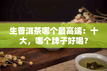 生普洱茶哪个更高端：十大，哪个牌子好喝？