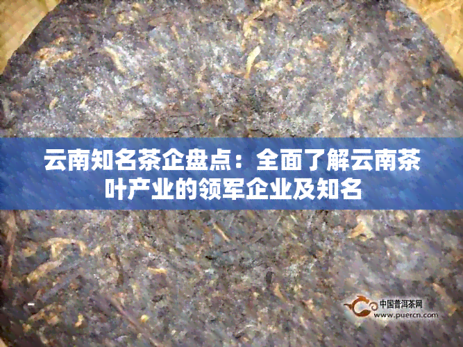 云南知名茶企盘点：全面了解云南茶叶产业的领军企业及知名