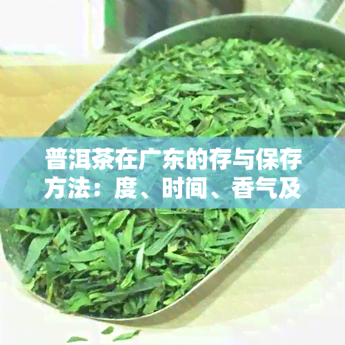 普洱茶在广东的存与保存方法：度、时间、香气及种植问题解析