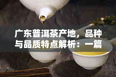 广东普洱茶产地，品种与品质特点解析：一篇全面指南助你深入了解广东普洱茶