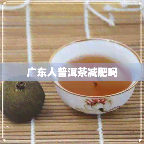 广东人普洱茶减肥吗