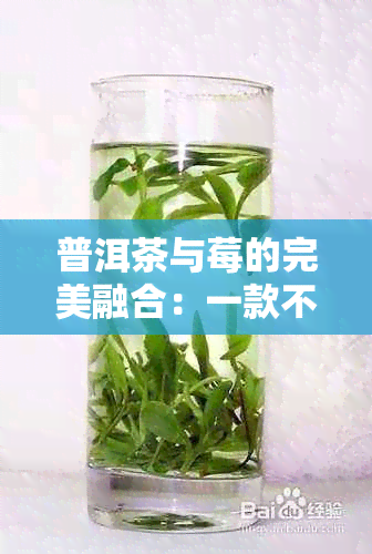 普洱茶与莓的完美融合：一款不容错过的饮品制作方法