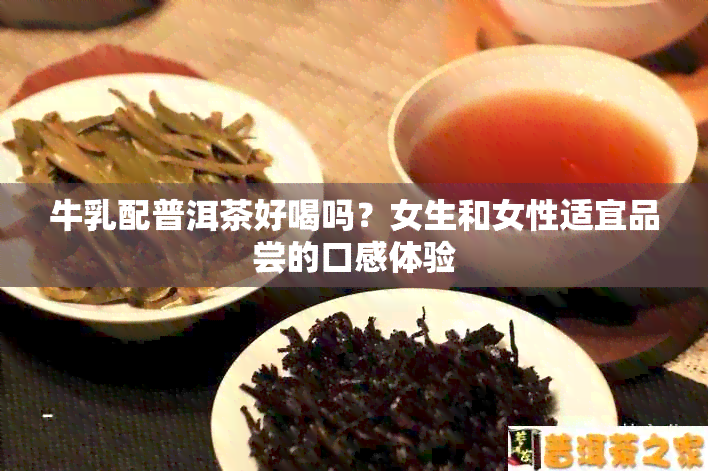 牛乳配普洱茶好喝吗？女生和女性适宜品尝的口感体验