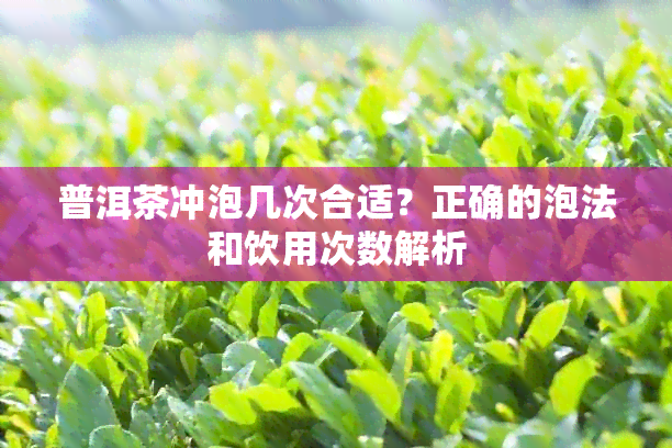 普洱茶冲泡几次合适？正确的泡法和饮用次数解析