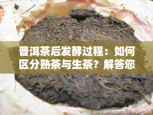 普洱茶后发酵过程：如何区分熟茶与生茶？解答您关于普洱茶制作的所有疑问