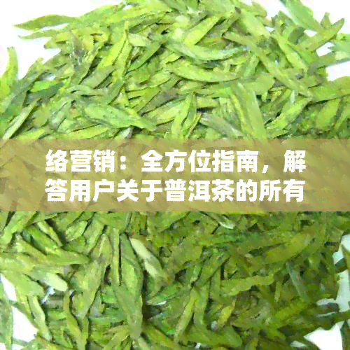 络营销：全方位指南，解答用户关于普洱茶的所有疑问