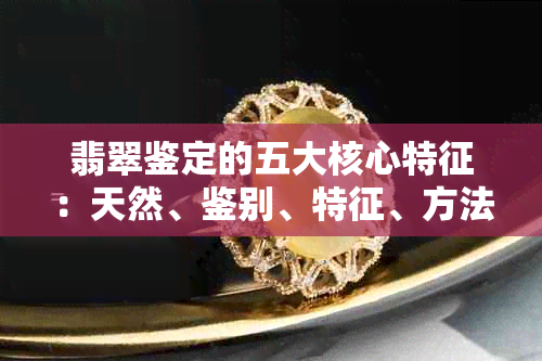 翡翠鉴定的五大核心特征：天然、鉴别、特征、方法与真假