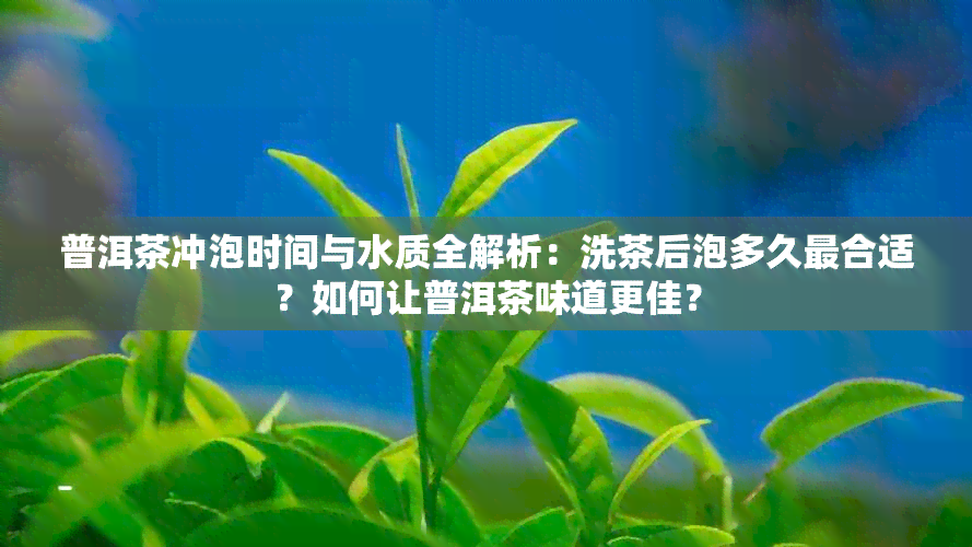 普洱茶冲泡时间与水质全解析：洗茶后泡多久最合适？如何让普洱茶味道更佳？