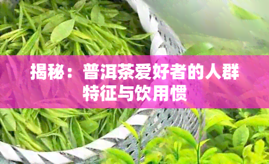 揭秘：普洱茶爱好者的人群特征与饮用惯