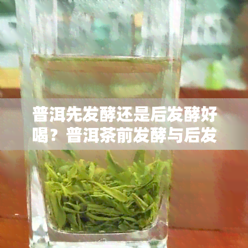 普洱先发酵还是后发酵好喝？普洱茶前发酵与后发酵的区别是什么？