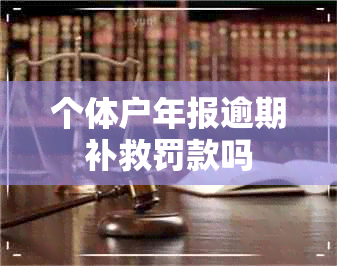 个体户年报逾期补救罚款吗