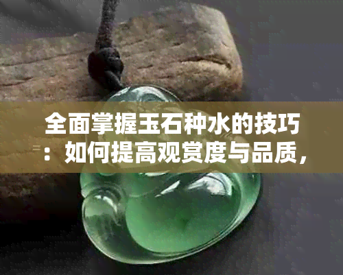 全面掌握玉石种水的技巧：如何提高观赏度与品质，让你的水更迷人