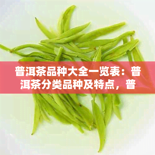 普洱茶品种大全一览表：普洱茶分类品种及特点，普洱茶品种排名。