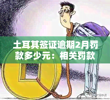 土耳其签证逾期2月罚款多少元：相关罚款及处理措全解析