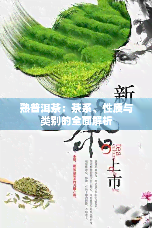 熟普洱茶：茶系、性质与类别的全面解析