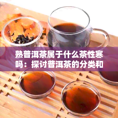 熟普洱茶属于什么茶性寒吗：探讨普洱茶的分类和性质