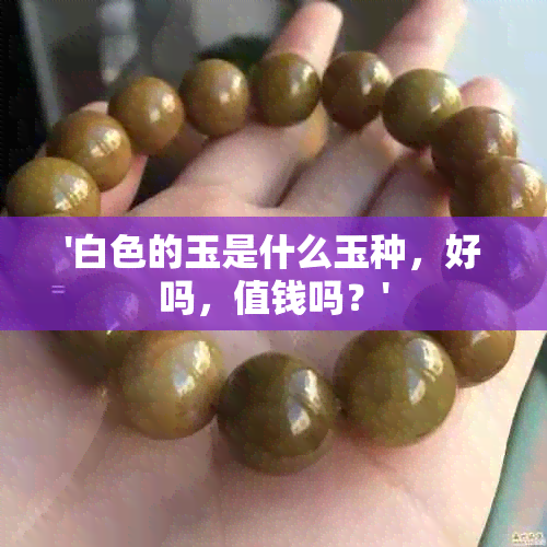 '白色的玉是什么玉种，好吗，值钱吗？'