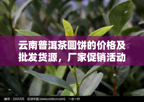 云南普洱茶圆饼的价格及批发货源，厂家促销活动