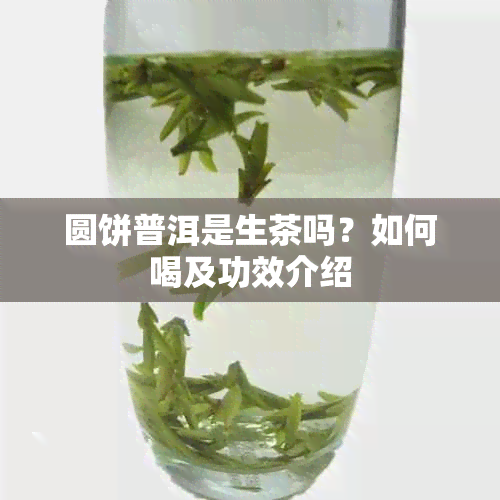 圆饼普洱是生茶吗？如何喝及功效介绍