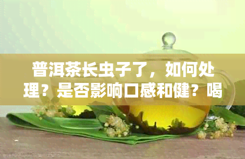 普洱茶长虫子了，如何处理？是否影响口感和健？喝过的后果有哪些？