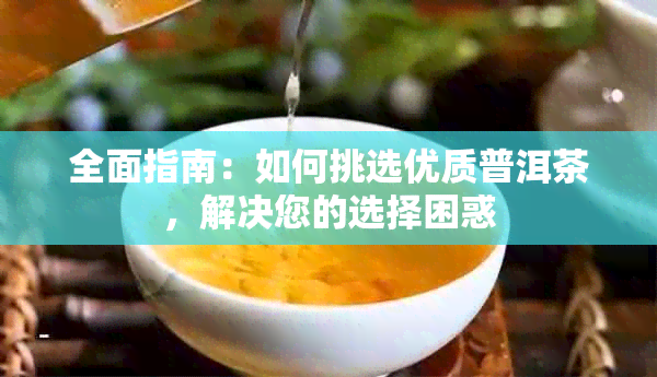 全面指南：如何挑选优质普洱茶，解决您的选择困惑