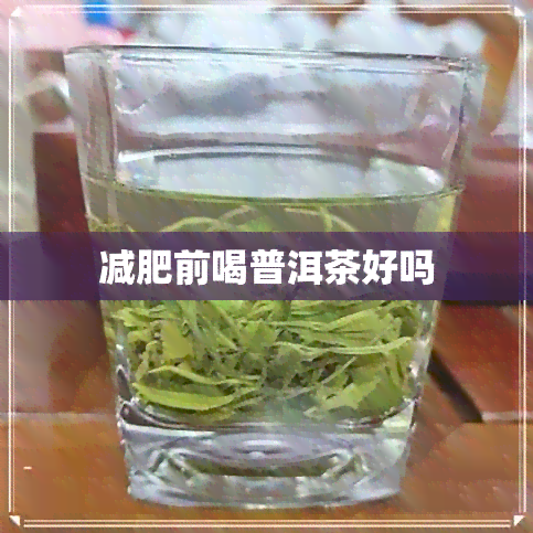 减肥前喝普洱茶好吗